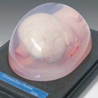 超声心脏体模超声心脏体模