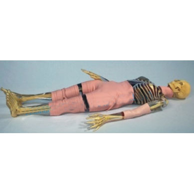 PIXY全身体模PIXY全身体模